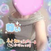 ヒメ日記 2026/09/15 06:06 投稿 藤花（ふじか） 熟女の風俗最終章　鶯谷店