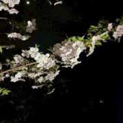 ヒメ日記 2025/04/16 20:21 投稿 えみ 大奥 梅田店