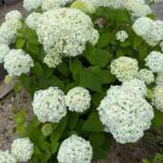 ヒメ日記 2025/06/09 09:45 投稿 えみ 大奥 梅田店