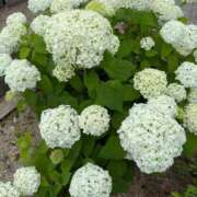 ヒメ日記 2025/06/09 10:02 投稿 えみ 大奥 梅田店