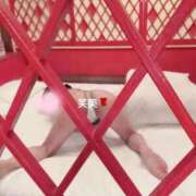 ヒメ日記 2026/03/05 06:31 投稿 えみ 大奥 梅田店