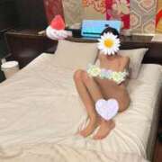 ヒメ日記 2025/01/17 09:05 投稿 虹野菜乃香(にじのなのか) 九州熟女　八代店