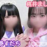 ヒメ日記 2025/04/02 15:05 投稿 桃井～MOMOI～ BBW名古屋店