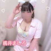 ヒメ日記 2025/06/07 03:40 投稿 桃井～MOMOI～ BBW名古屋店