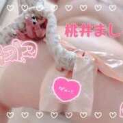 ヒメ日記 2025/10/09 11:10 投稿 桃井～MOMOI～ BBW名古屋店