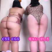 ヒメ日記 2025/12/08 16:50 投稿 桃井～MOMOI～ BBW名古屋店