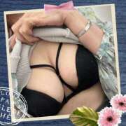 ヒメ日記 2025/04/26 15:09 投稿 ゆずき 熟女家 京橋店