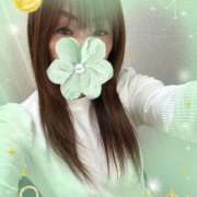 ヒメ日記 2025/11/20 10:56 投稿 ゆずき 熟女家 京橋店