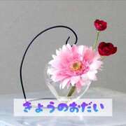 ヒメ日記 2024/12/11 17:35 投稿 もえ MIKADO