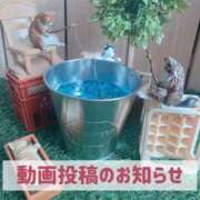 ヒメ日記 2024/12/14 20:02 投稿 もえ MIKADO