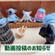 ヒメ日記 2024/12/20 19:51 投稿 もえ MIKADO