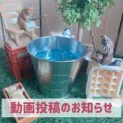 ヒメ日記 2024/12/26 19:53 投稿 もえ MIKADO