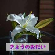 ヒメ日記 2024/12/28 20:34 投稿 もえ MIKADO