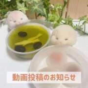 ヒメ日記 2025/01/23 20:02 投稿 もえ MIKADO