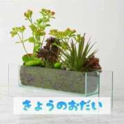 ヒメ日記 2025/02/02 18:21 投稿 もえ MIKADO