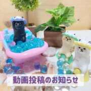 ヒメ日記 2025/02/02 19:51 投稿 もえ MIKADO