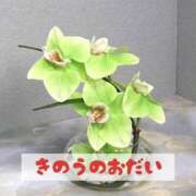 ヒメ日記 2025/02/04 16:46 投稿 もえ MIKADO