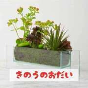 ヒメ日記 2025/02/11 18:11 投稿 もえ MIKADO