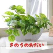 ヒメ日記 2025/03/02 19:21 投稿 もえ MIKADO