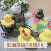 ヒメ日記 2025/03/14 19:51 投稿 もえ MIKADO