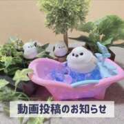 ヒメ日記 2025/03/20 19:51 投稿 もえ MIKADO