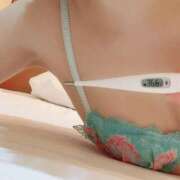 ヒメ日記 2025/03/29 06:11 投稿 もえ MIKADO