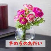 ヒメ日記 2025/03/31 19:44 投稿 もえ MIKADO