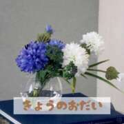 ヒメ日記 2025/04/02 21:33 投稿 もえ MIKADO