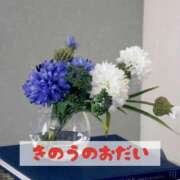 ヒメ日記 2025/04/07 12:32 投稿 もえ MIKADO