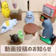 ヒメ日記 2025/04/07 20:05 投稿 もえ MIKADO