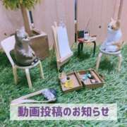 ヒメ日記 2025/04/09 19:51 投稿 もえ MIKADO