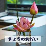 ヒメ日記 2025/04/15 13:21 投稿 もえ MIKADO