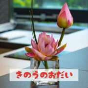 ヒメ日記 2025/04/30 12:51 投稿 もえ MIKADO