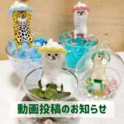 ヒメ日記 2025/05/01 19:51 投稿 もえ MIKADO