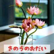 ヒメ日記 2025/05/05 21:21 投稿 もえ MIKADO