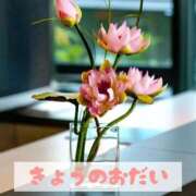 ヒメ日記 2025/05/14 21:05 投稿 もえ MIKADO