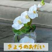 ヒメ日記 2025/05/19 17:21 投稿 もえ MIKADO