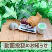 ヒメ日記 2025/05/19 20:02 投稿 もえ MIKADO