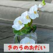 ヒメ日記 2025/05/24 18:21 投稿 もえ MIKADO