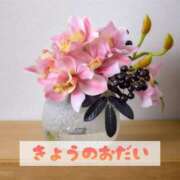 ヒメ日記 2025/06/01 20:51 投稿 もえ MIKADO