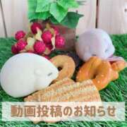 ヒメ日記 2025/06/10 19:51 投稿 もえ MIKADO