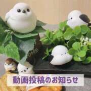 ヒメ日記 2025/06/24 20:02 投稿 もえ MIKADO