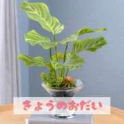 ヒメ日記 2025/06/24 20:31 投稿 もえ MIKADO