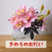 ヒメ日記 2025/06/26 20:21 投稿 もえ MIKADO