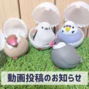 ヒメ日記 2025/07/02 19:58 投稿 もえ MIKADO