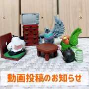 ヒメ日記 2025/07/12 19:51 投稿 もえ MIKADO