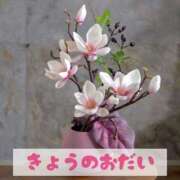 ヒメ日記 2025/07/14 21:34 投稿 もえ MIKADO