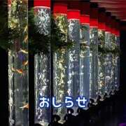 ヒメ日記 2025/07/31 21:31 投稿 もえ MIKADO