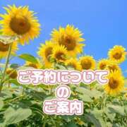 ヒメ日記 2025/08/01 20:30 投稿 もえ MIKADO