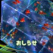 ヒメ日記 2025/08/02 21:41 投稿 もえ MIKADO